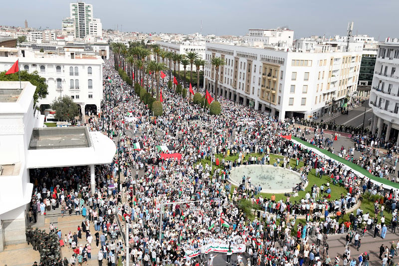 marche-palestine-manifestant.jpg