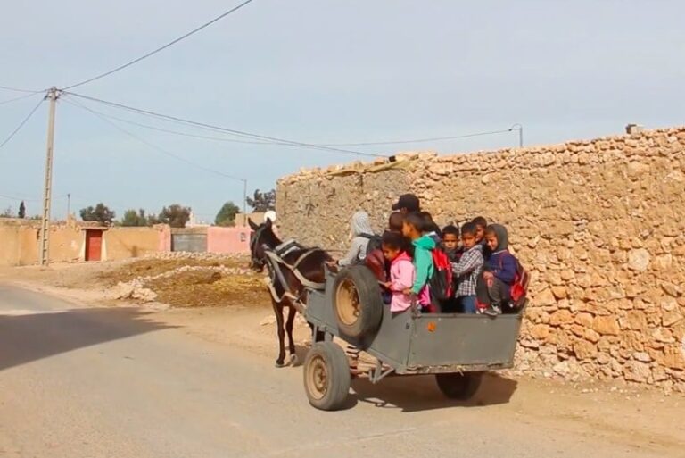 transport-scolaire.jpg