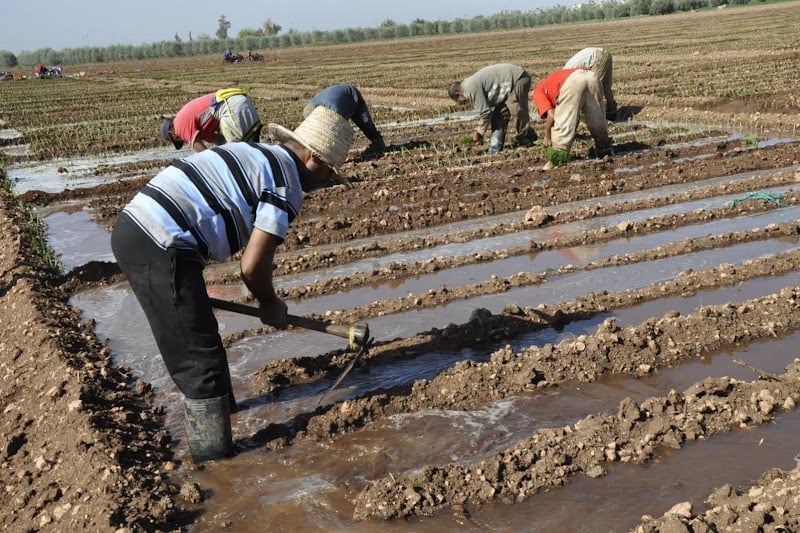 agriculture-eau-beni-mellal.jpg