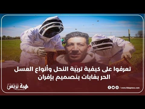 تعرفوا على كيفية تربية النحل و أنواع العسل الحر ببنصميم